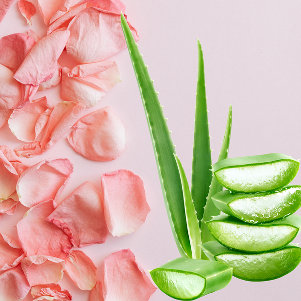 BIO ALOE VERA & ROSE – WE LUV ECO